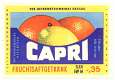 dessau brauerei capri fruchtsaftgetraenk 1