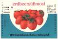 salzwedel ogema erdbeer-suessmost